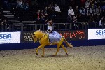 Quadrille - 00566